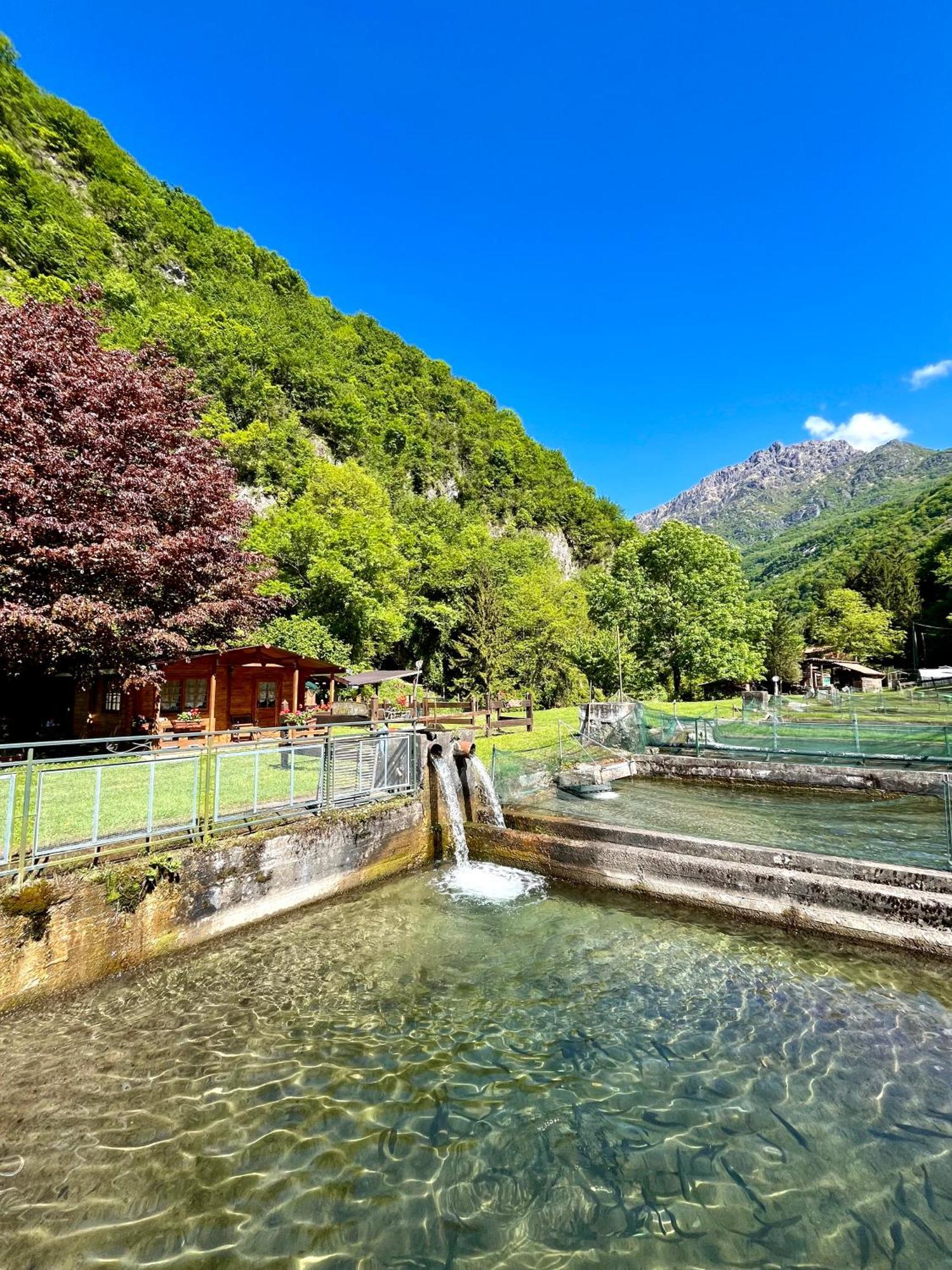 Agriturismo La Vecchia Chioderia Grandola ed Uniti Exterior foto