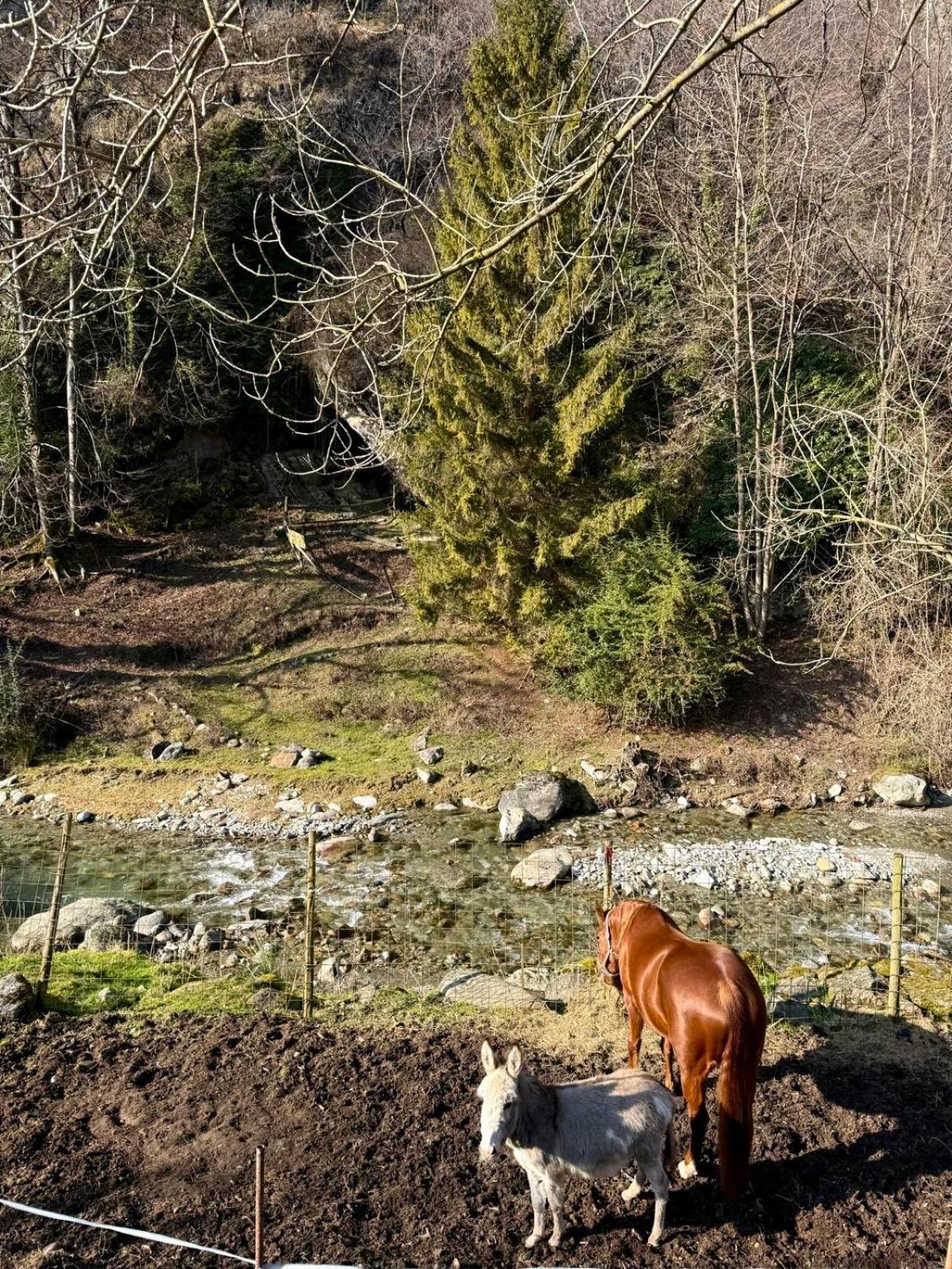 Agriturismo La Vecchia Chioderia Grandola ed Uniti Exterior foto