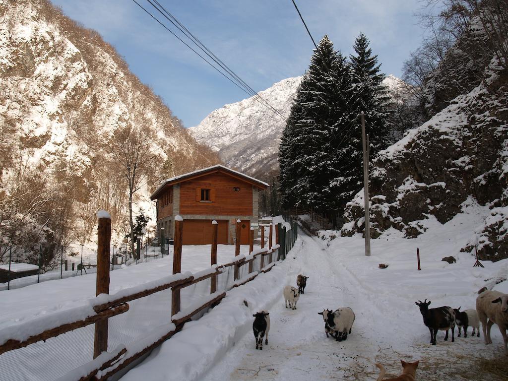 Agriturismo La Vecchia Chioderia Grandola ed Uniti Exterior foto